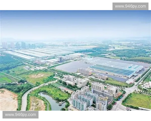 台山新闻直播聚焦城市发展民生改善展现湾区新风貌